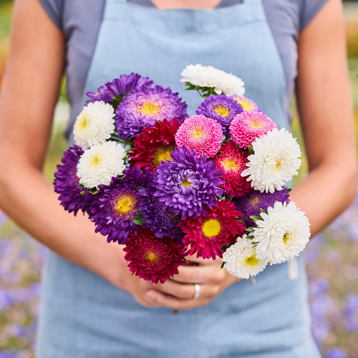 A person holding a bouquet of aster powderpuff mix  in a natural setting