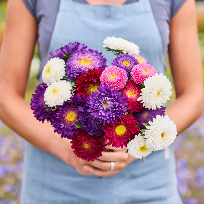 A person holding a bouquet of aster powderpuff mix  in a natural setting