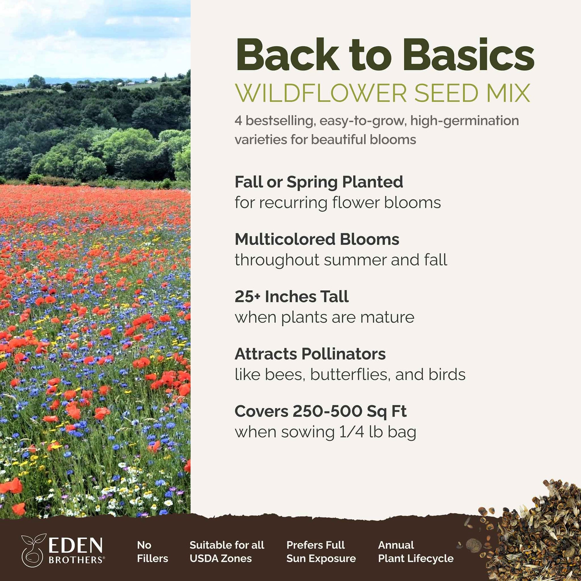 A visual overview of the wildflower seed mix, showcasing expected floral blooms.