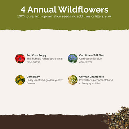 List of flower species and seeds included in the Wildflower Seed Mix.