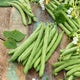 Bean Seeds (Pole) - Blue Lake FM1K