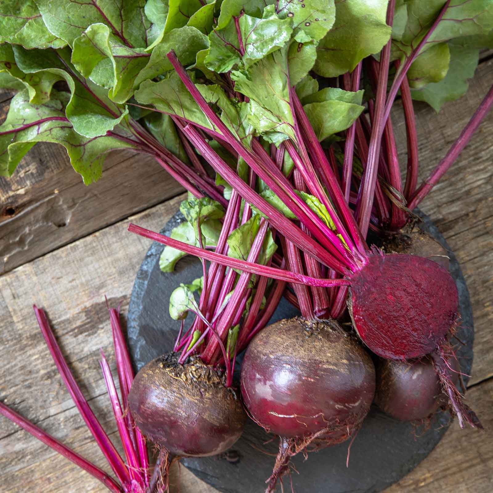 A group of beet early wonder with bright red stems and deep red beetroot with a wooden background.
