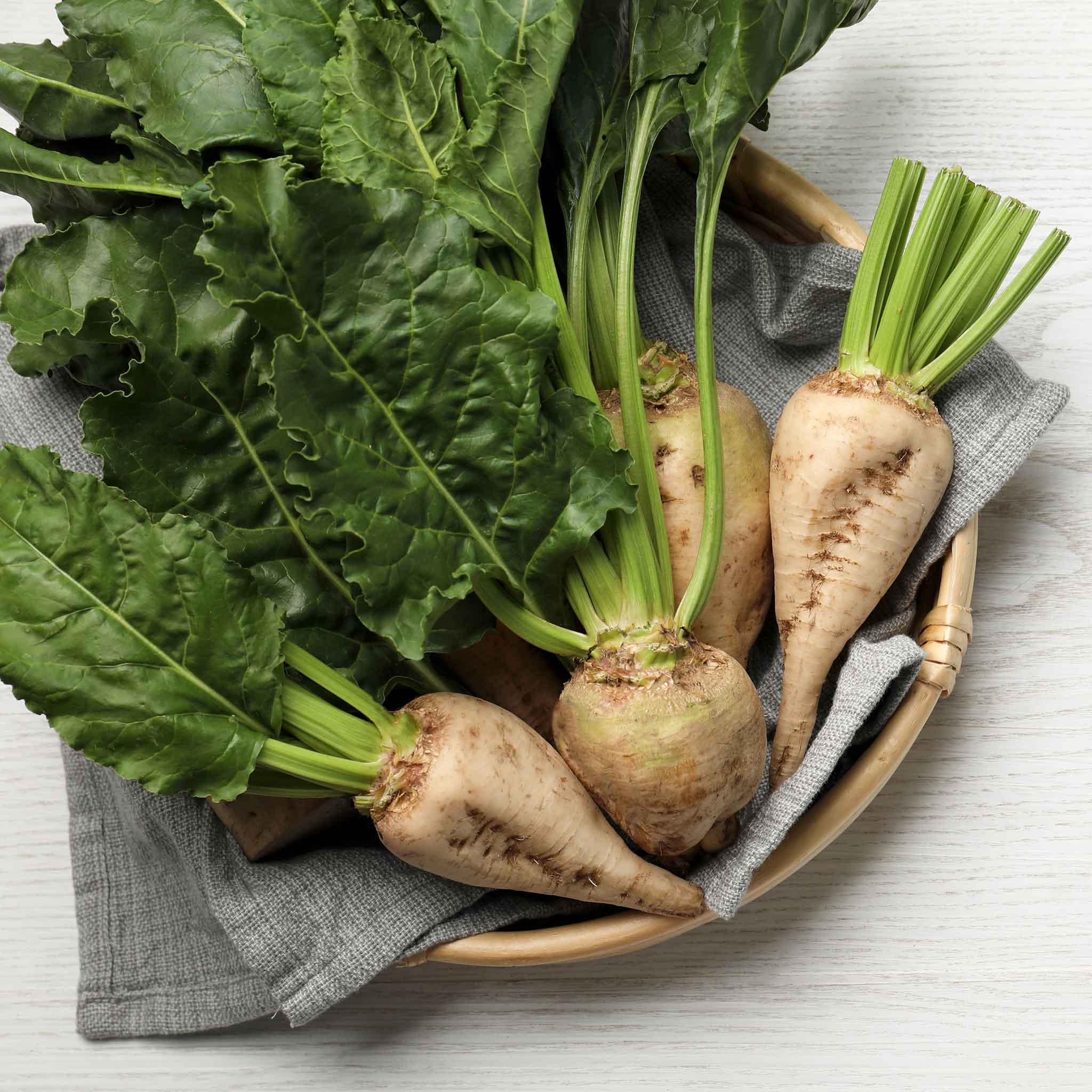 Sugar Beet Seeds | Vegetable Seeds in Packets & Bulk | Eden Brothers