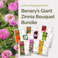 Graphic of benary's giant zinnia bundle pack displaying a product image and contents of the bundle.
