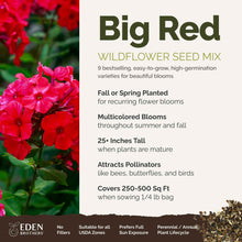 A visual overview of the wildflower seed mix, showcasing expected floral blooms.