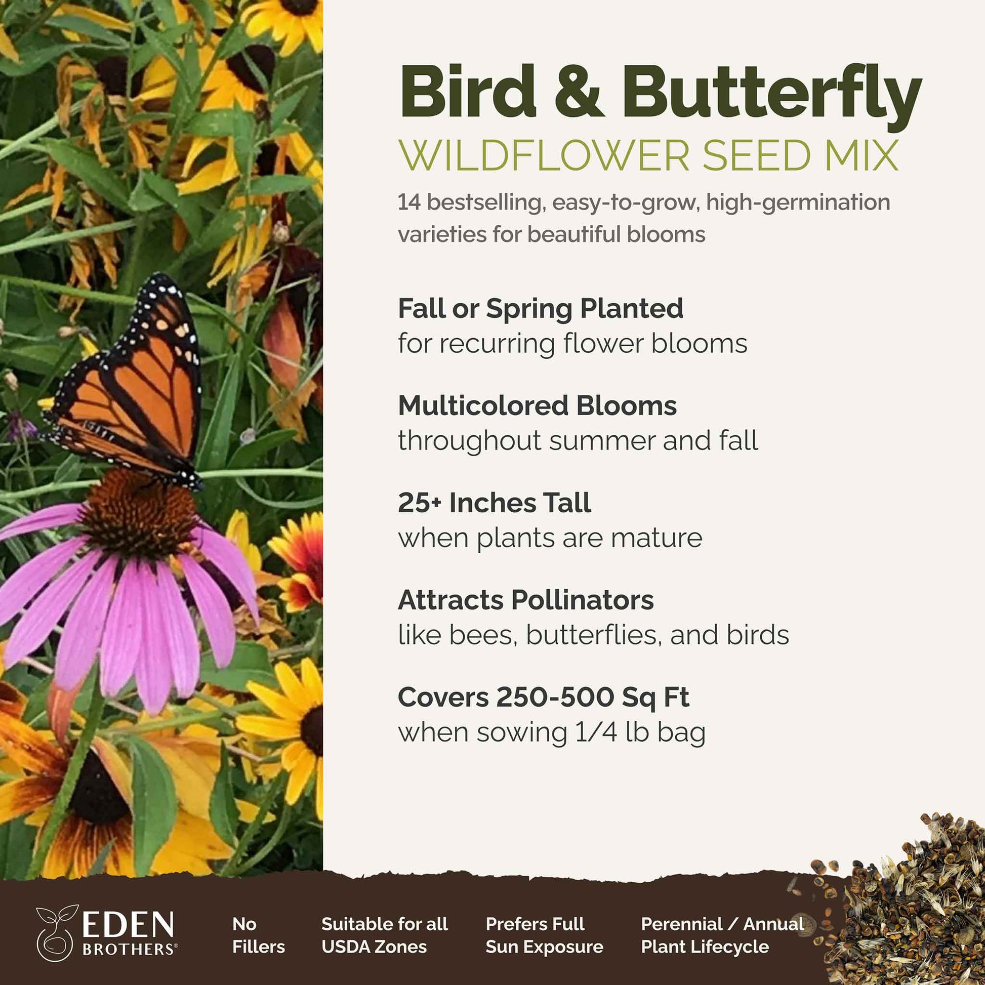 bird and butterfly overview