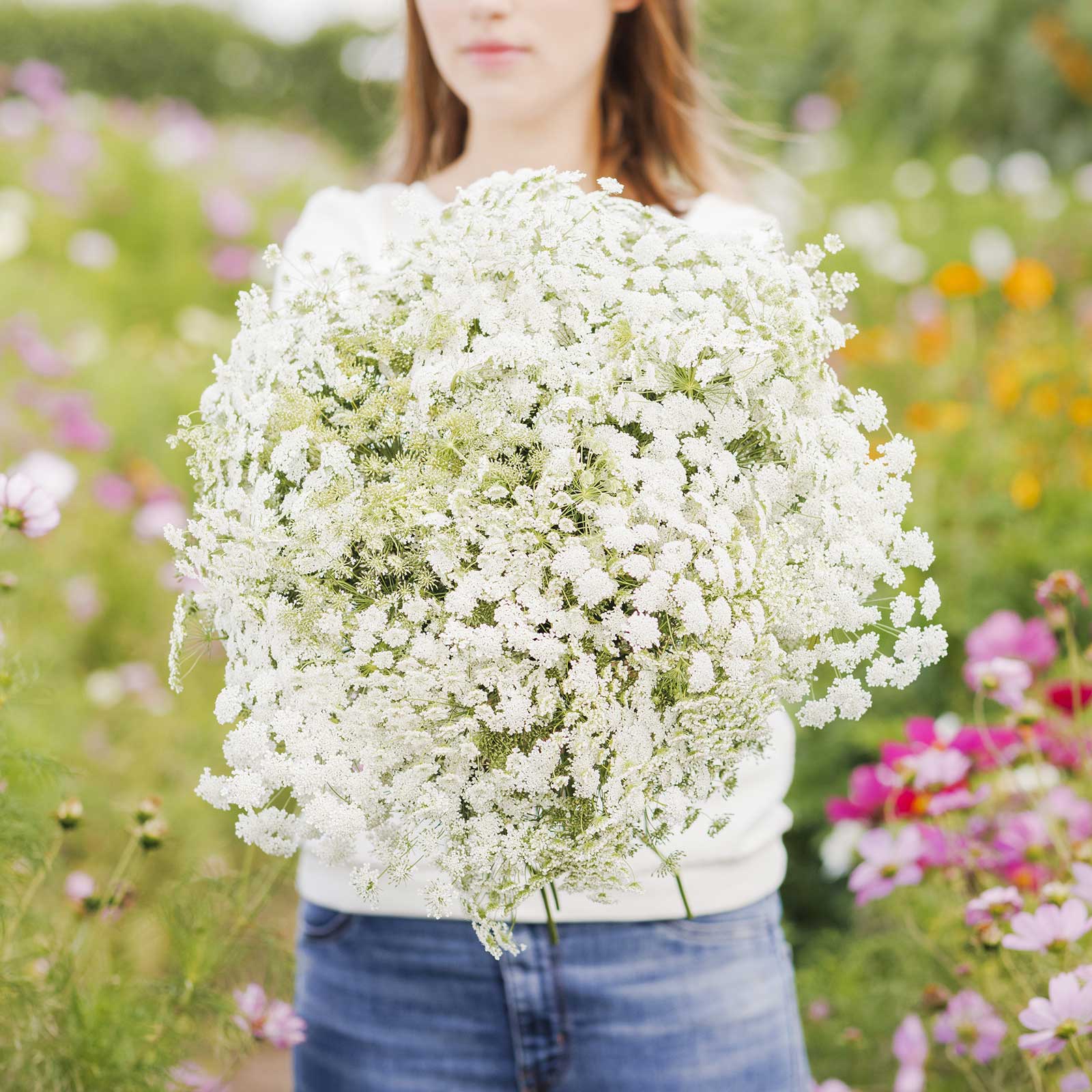 A person holding a bouquet of bishop flower in a natural setting