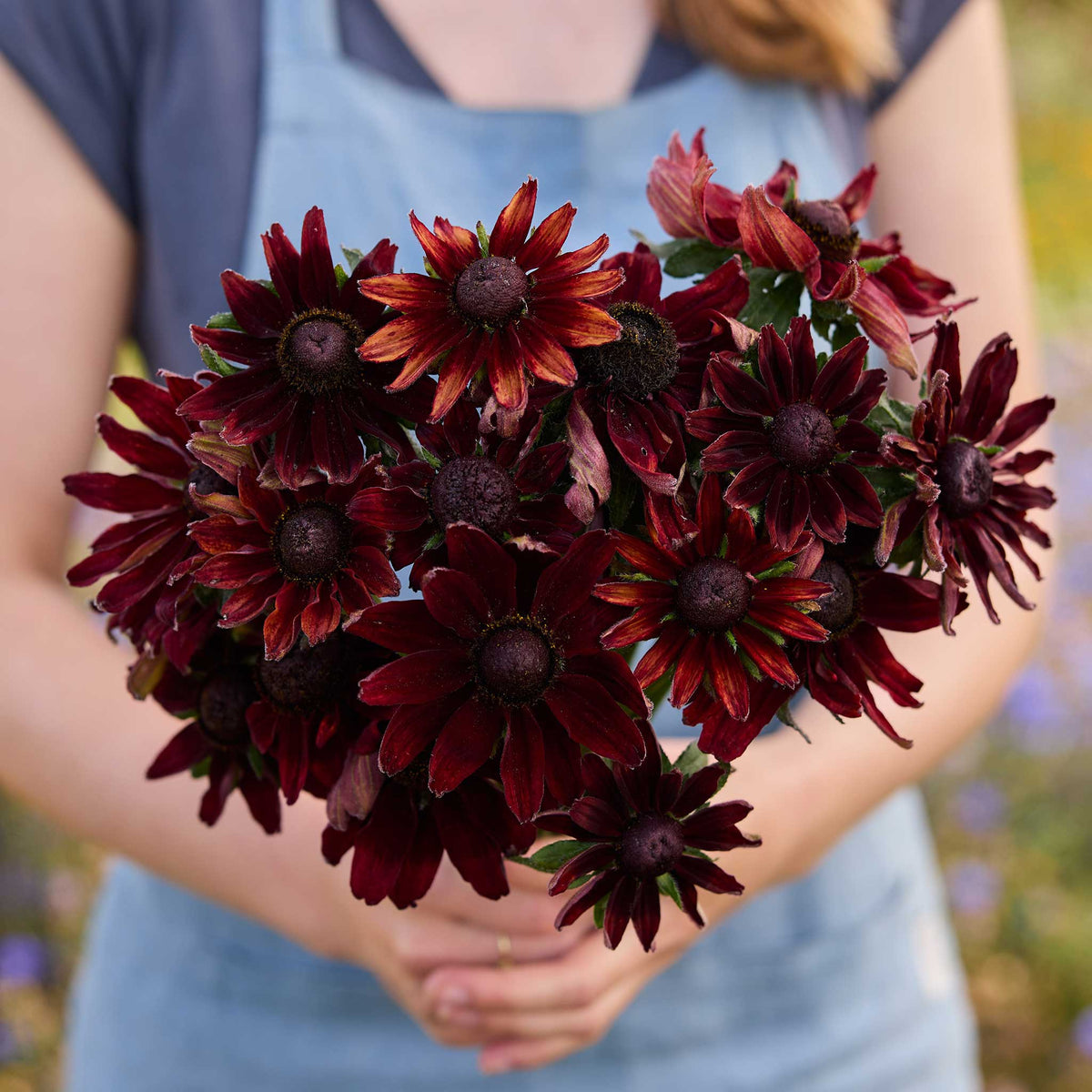 A person holding a bouquet of black eyed susan cherry brandy in a natural setting