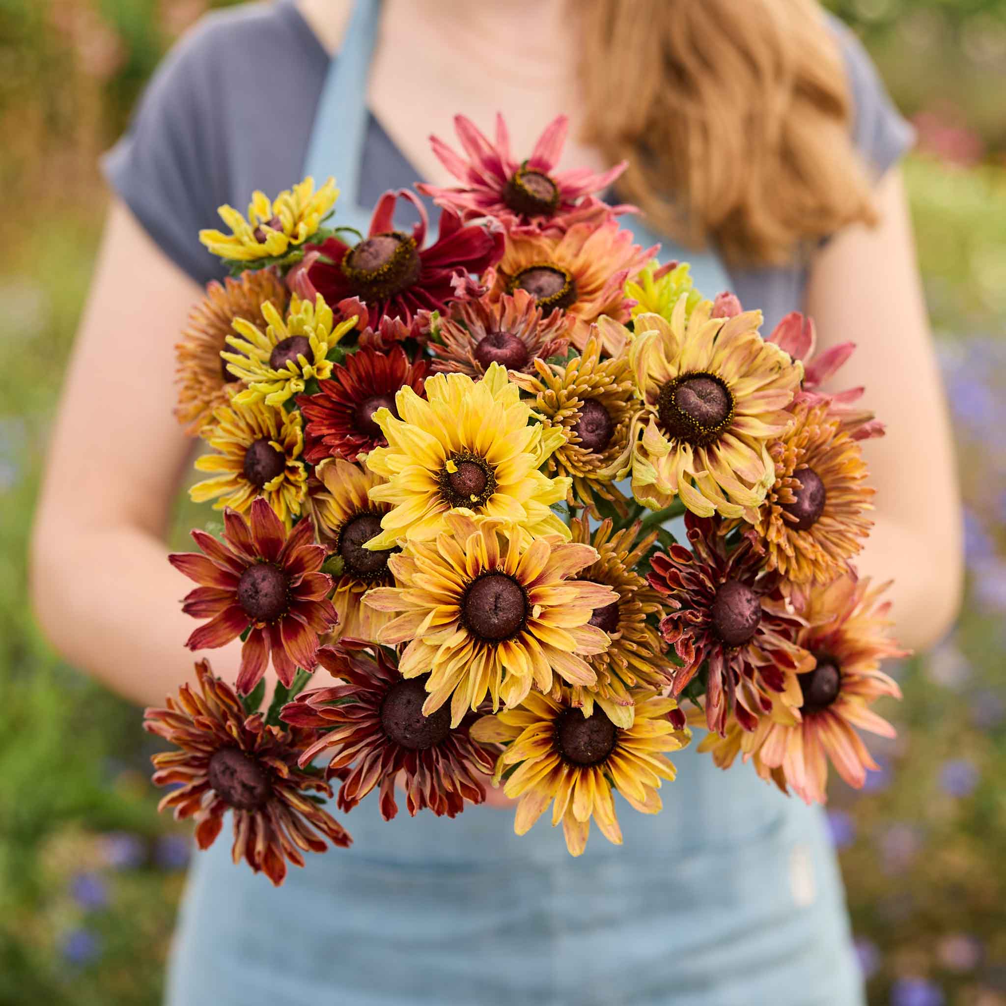 Person holding a bouquet of colorful Saraha black eyed susans in a natural setting