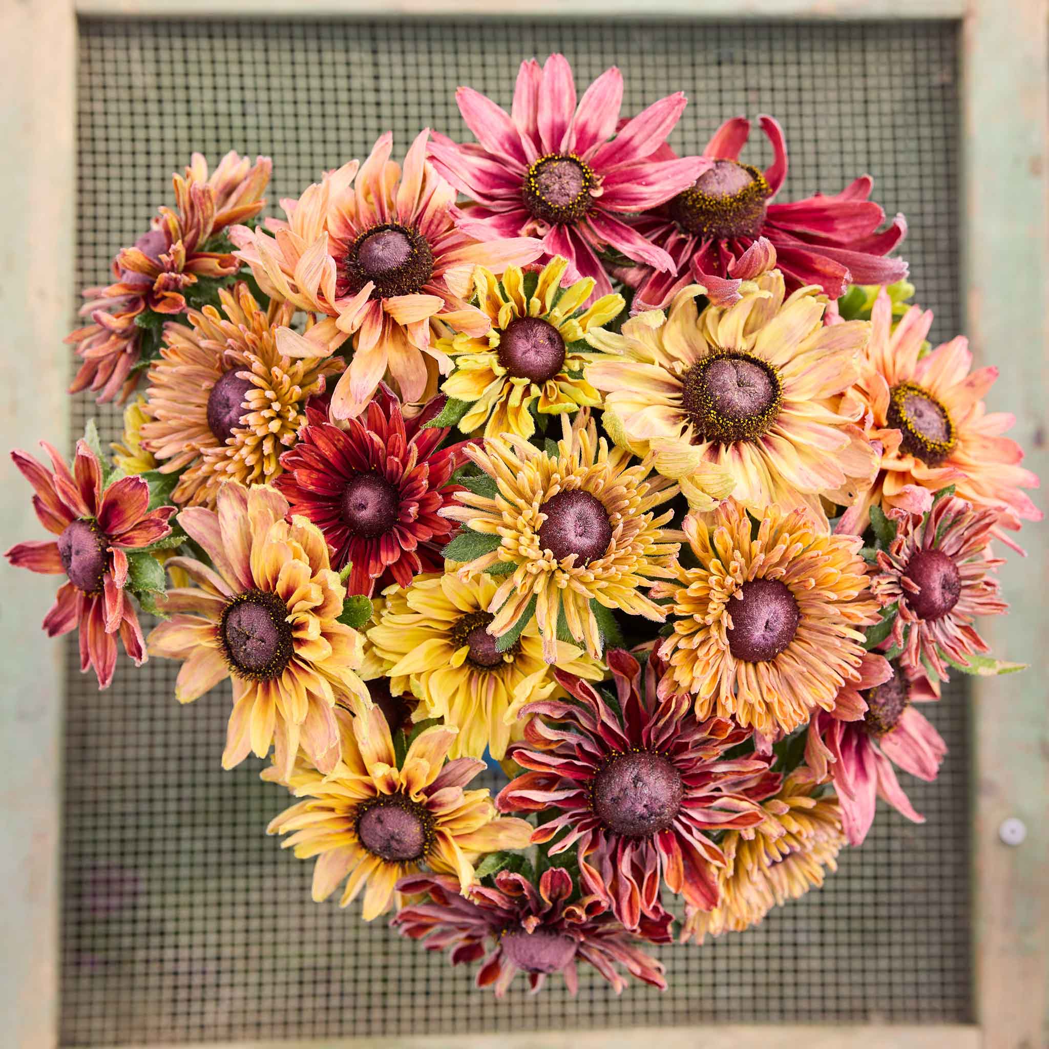 Colorful flower arrangement with saraha black eyed susans against a textured wall.