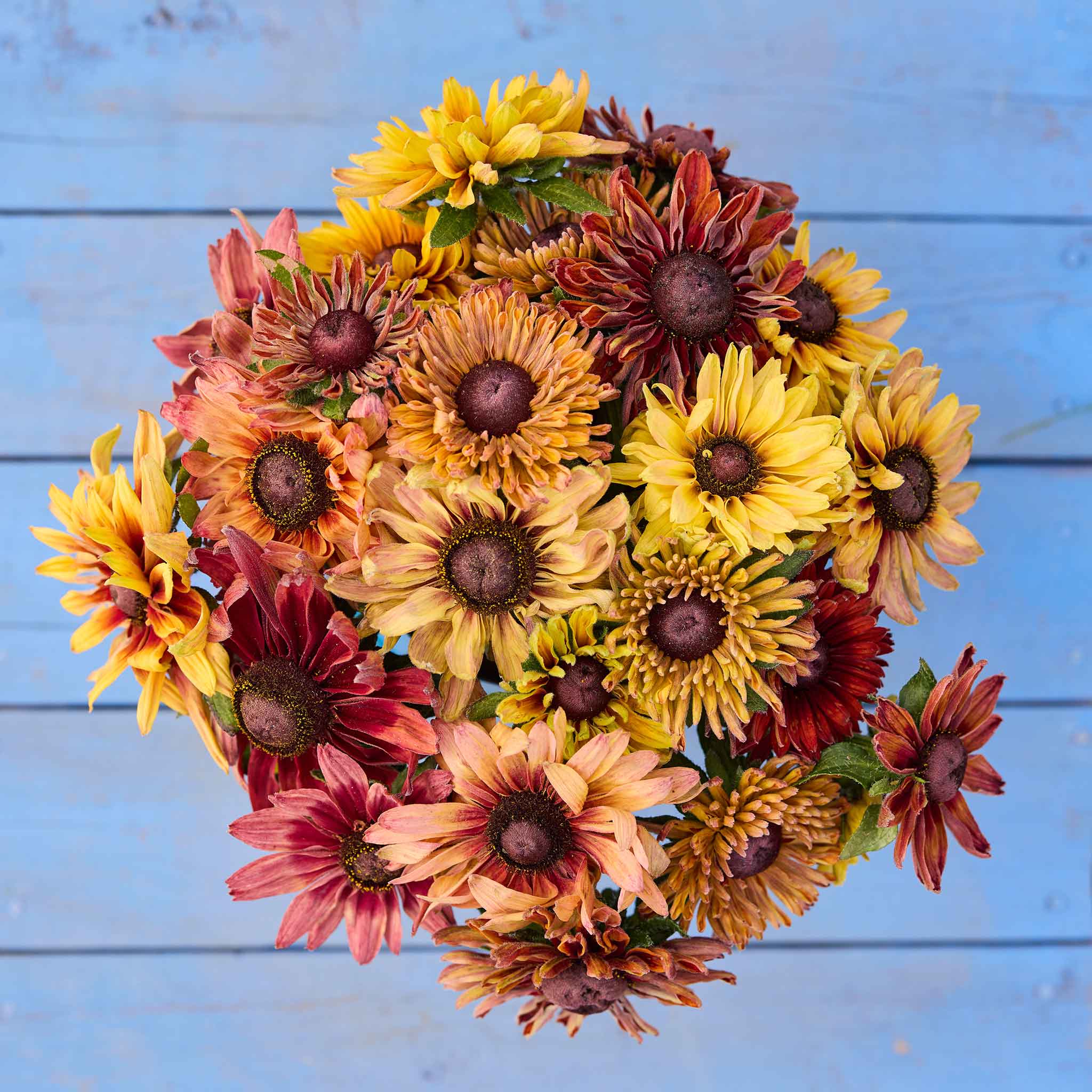 Colorful flower arrangement with saraha black eyed susans against a blue wall.