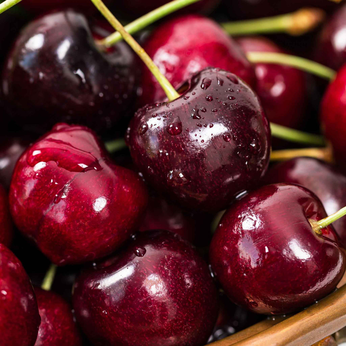 Close-up of glossy dark red cherries from the Black Tartarian Cherry Tree with visible water droplets, filling the frame with a small portion of a wooden container edge visible at the bottom right.