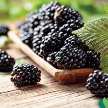 Blackberry chester berries harvested and on a wooden tray