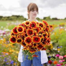 A person holding a bouquet of blanket flower mix in a natural setting