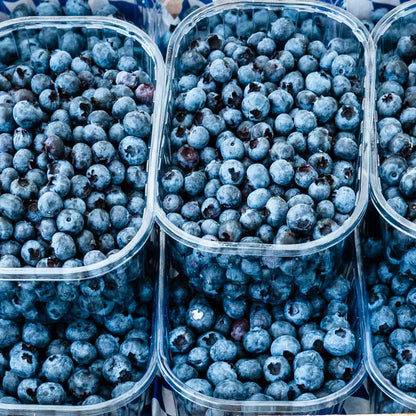 Harvested top hat blueberries gathered and in several bowls