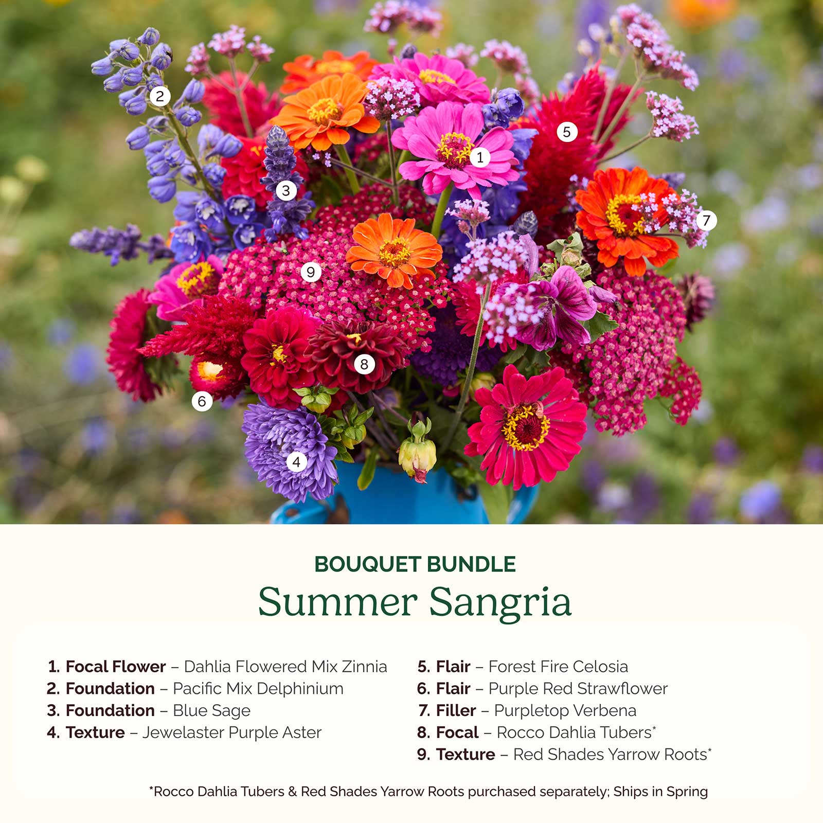 Colorful bouquet labeled 'Summer Sangria' with a list of flowers and their names.