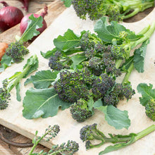 A vibrant, close-up shot of purple sprouting broccoli florets, showcasing their unique color and texture. | copyright: Floramedia UK Ltd
