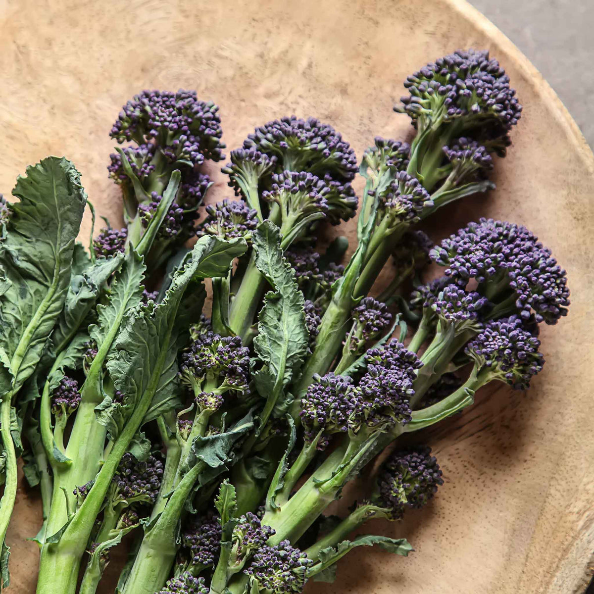 Broccoli Bulbs Broccoli Seeds - Purple Sprouting | Vegetable Seeds in Packets & Bulk ...