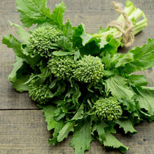 Broccoli-Raab Seeds - Spring Rapini, featuring vibrant green florets and stems, harvested and bound.