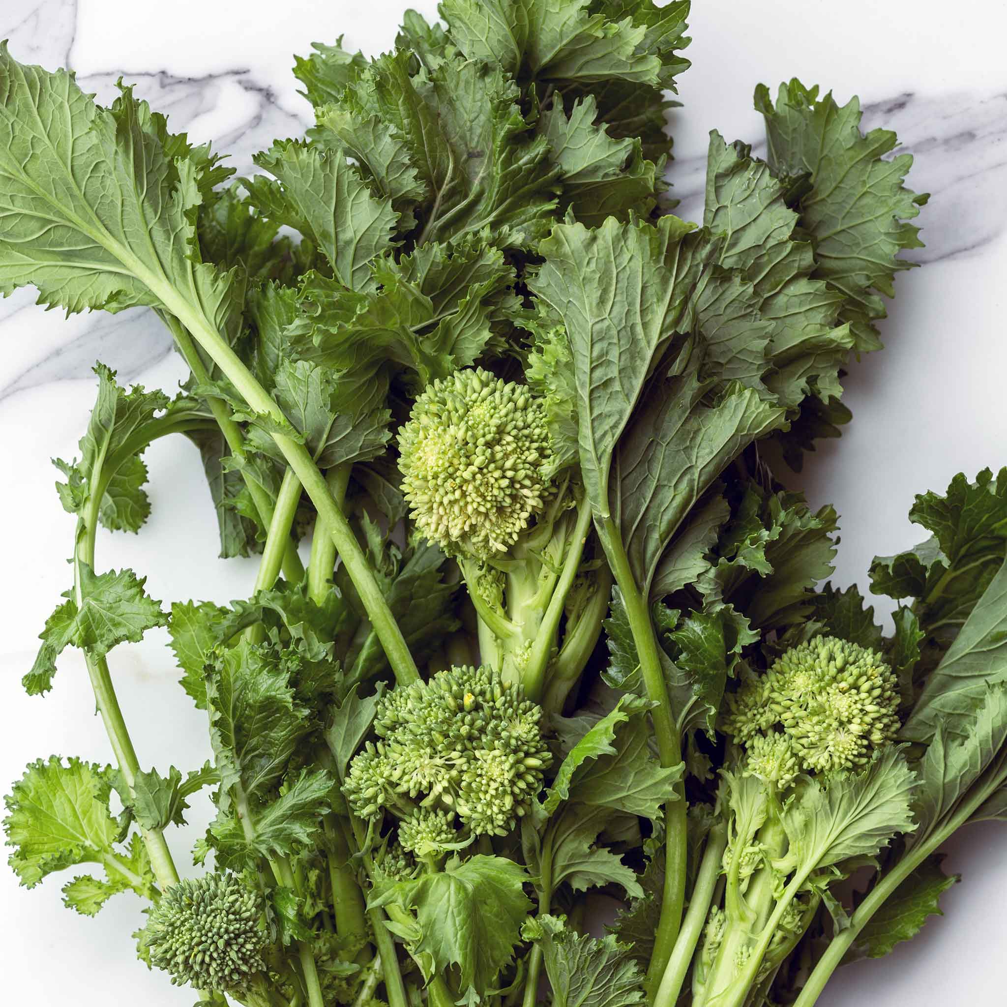 Broccoli-Raab Seeds - Spring Rapini | Vegetable Seeds in Packets & Bulk ...