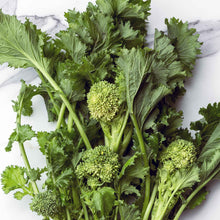 A vibrant green broccoli spring rapini plant with broad leaves and small, tightly clustered florets.