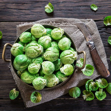 A bowl of several green silvia F1 brussels sprouts showing layered leaves on a neutral cloth
