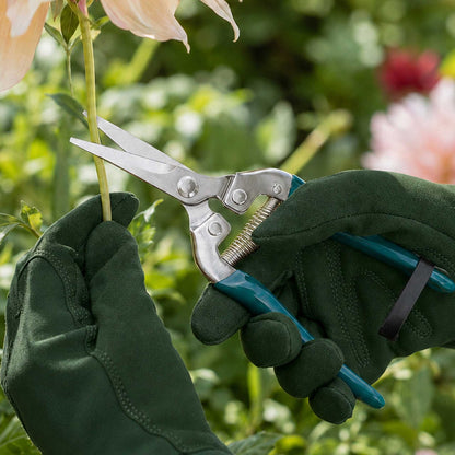 Burgon and ball flower and fruit snips being used to cut a flower stem by someone wearing green gloves