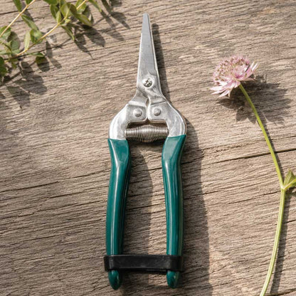 Green handled burgon and ball flower and fruit snips shown on a wooden background