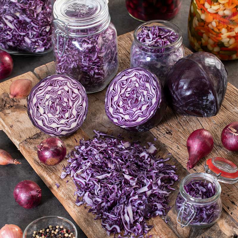 Red Express cabbage sliced and shredded showcasing its vibrant red and white coloring. | copyright: Floramedia UK Ltd