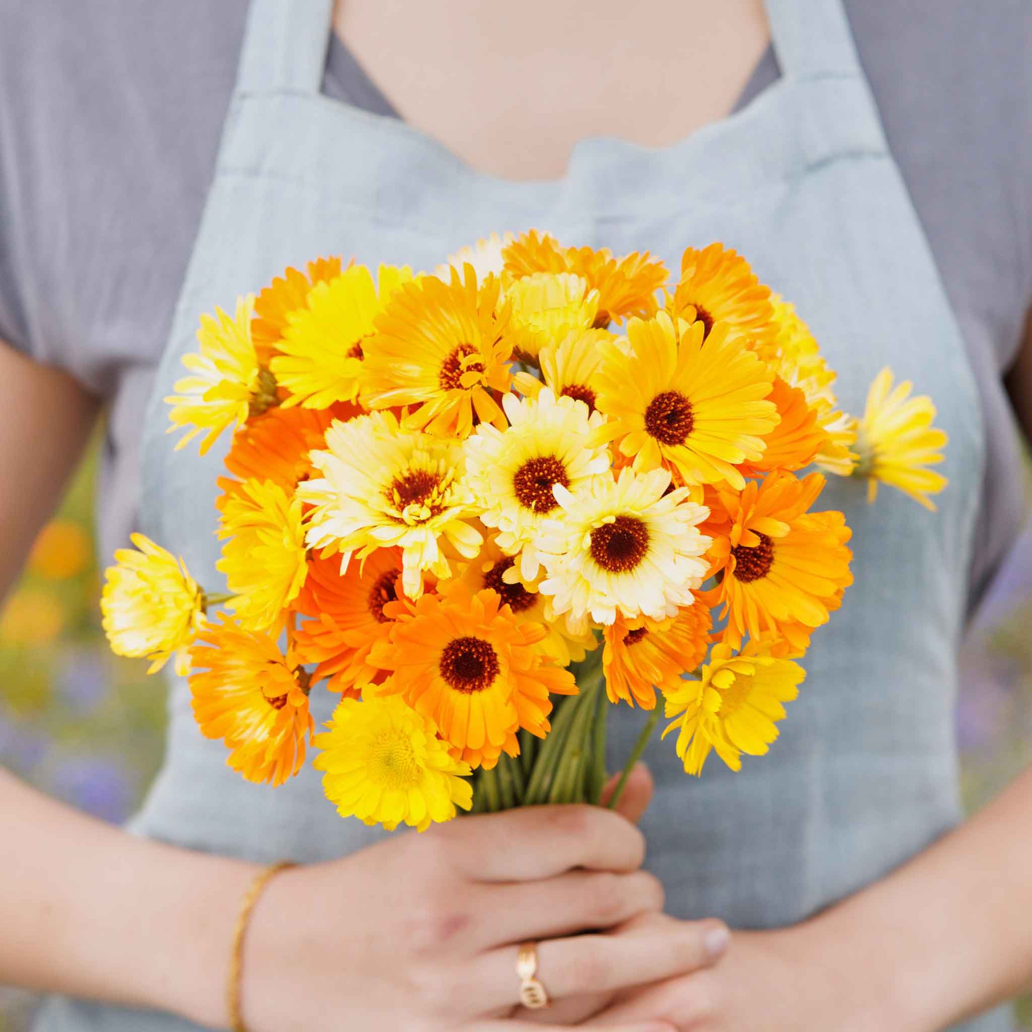 Person holding a bouquet of yellow and orange Kablouna calendula flowers with a blurred background