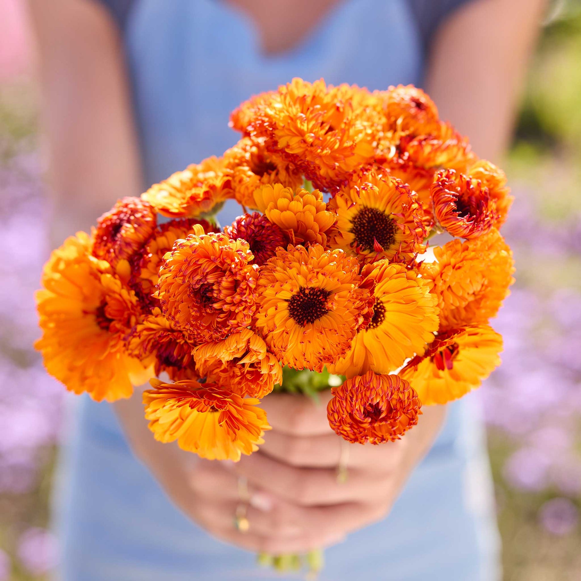 A person holding a bouquet of calendula neon in a natural setting