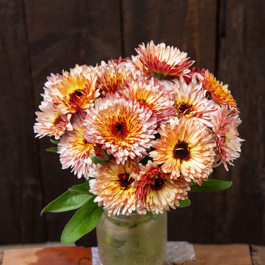calendula organic strawberry blonde