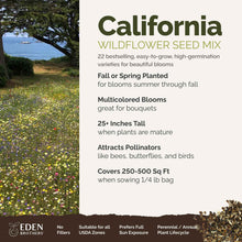 A visual overview of the wildflower seed mix, showcasing expected floral blooms.