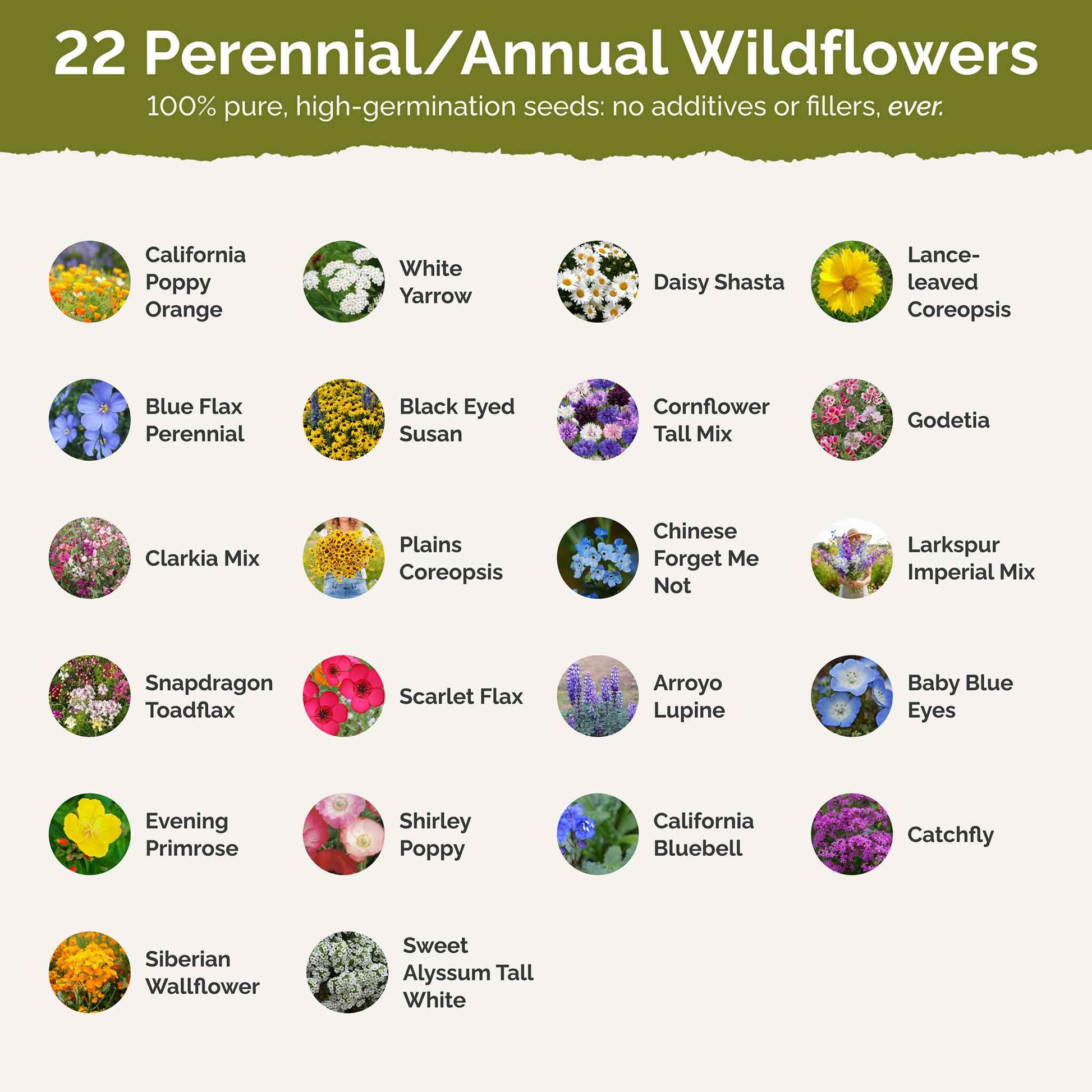 List of flower species and seeds included in the Wildflower Seed Mix.