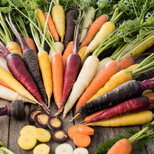 A rainbow blend of purple, yellow, and orange carrots with green tops are bunched together on a neutral background. | copyright: Floramedia UK Ltd