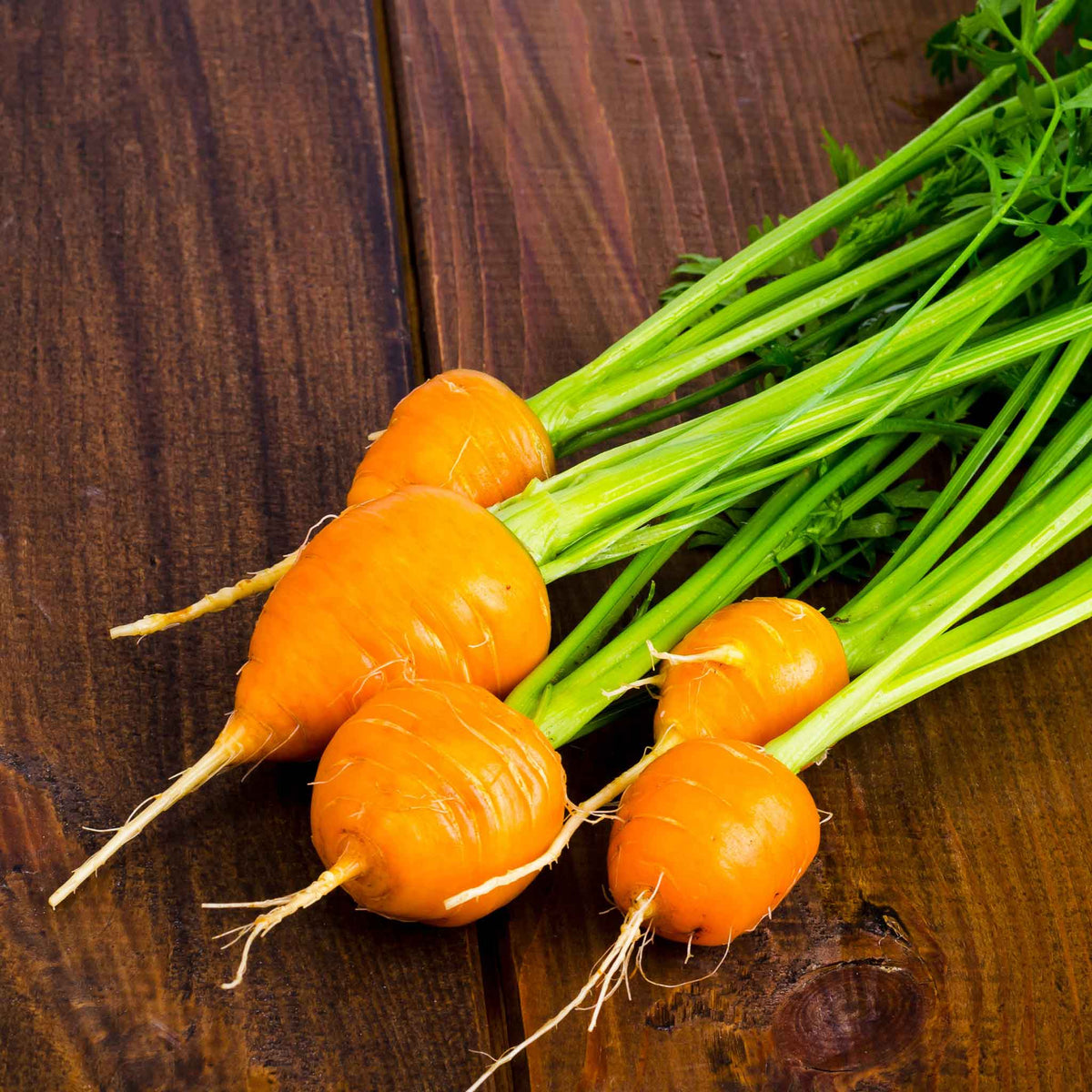 Carrot Seeds Thumbelina