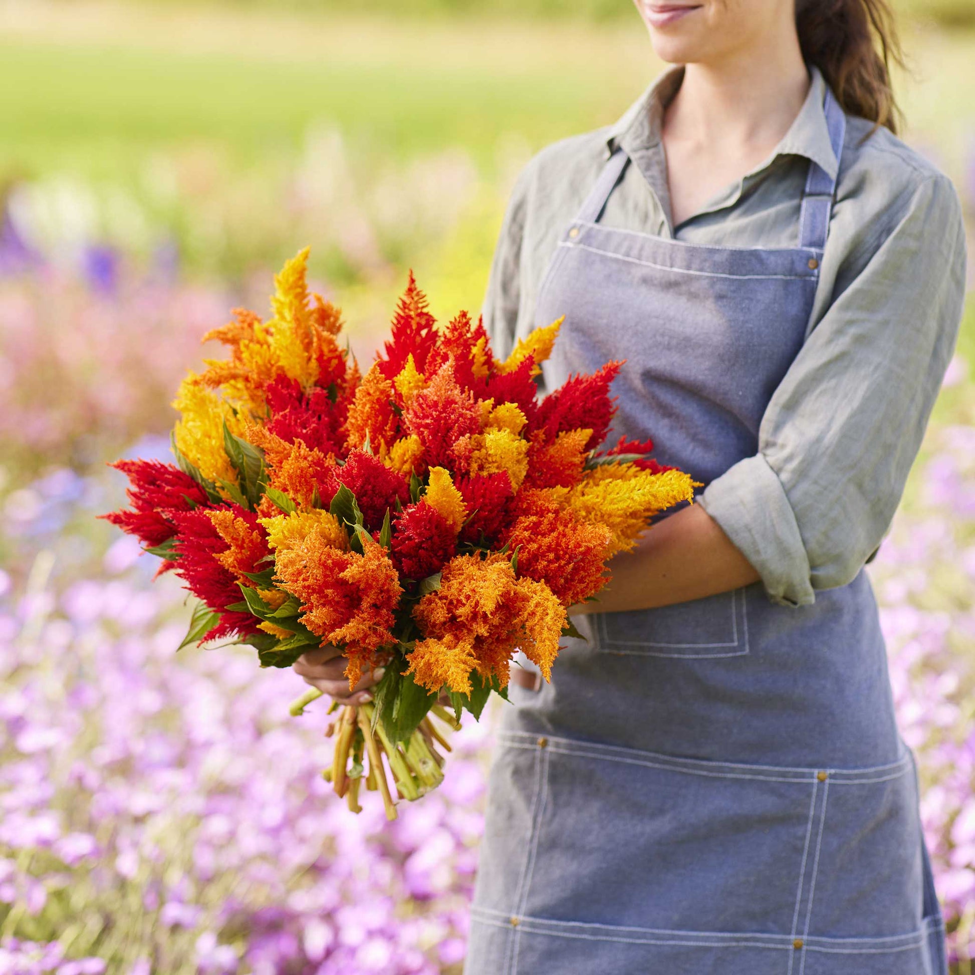 Person holding a vibrant bouquet of celosia feather sunny mix flowers with a blurred floral background.