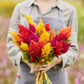 Person holding a bouquet of mixed pampas plume celosia flowers in a garden setting.