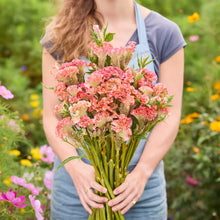 Person holding a bouquet of celosia rooster pink flowers in a garden setting