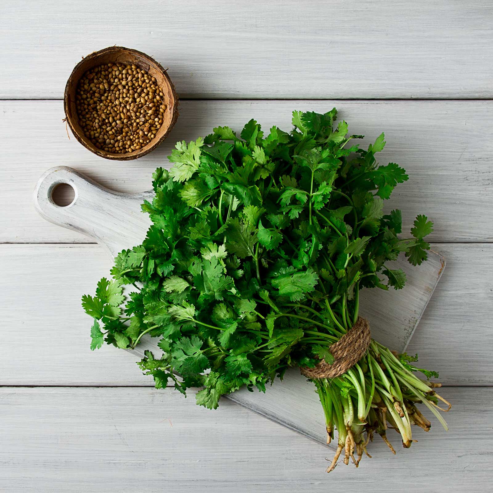 A bundl of Eagle Cilantro bound with hemp next to a bowl of cilantro seeds set against a neutral background