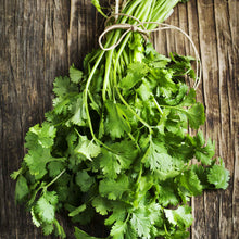 A bundle of Fiesta Green Cilantro/Coriander stems on a wooden table.