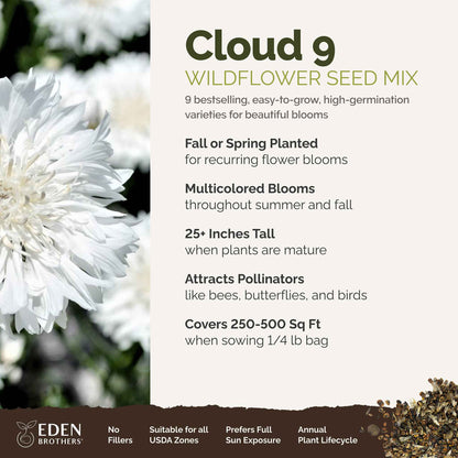 A visual overview of the wildflower seed mix, showcasing expected floral blooms.