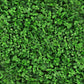 Close-up of green microclover leaves