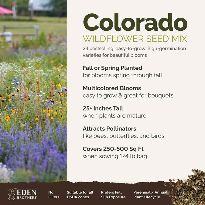 Colorado Wildflower Seed Mix Wildflower Seeds Eden Brothers colorado-wildflower-seed-mix-wildflower-seeds-eden-brothers