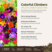 A visual overview of the wildflower seed mix, showcasing expected floral blooms.