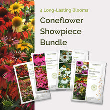 Graphic of coneflower showpiece bundle pack displaying a product image and contents of the bundle.