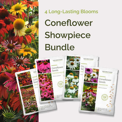 Graphic of coneflower showpiece bundle pack displaying a product image and contents of the bundle.