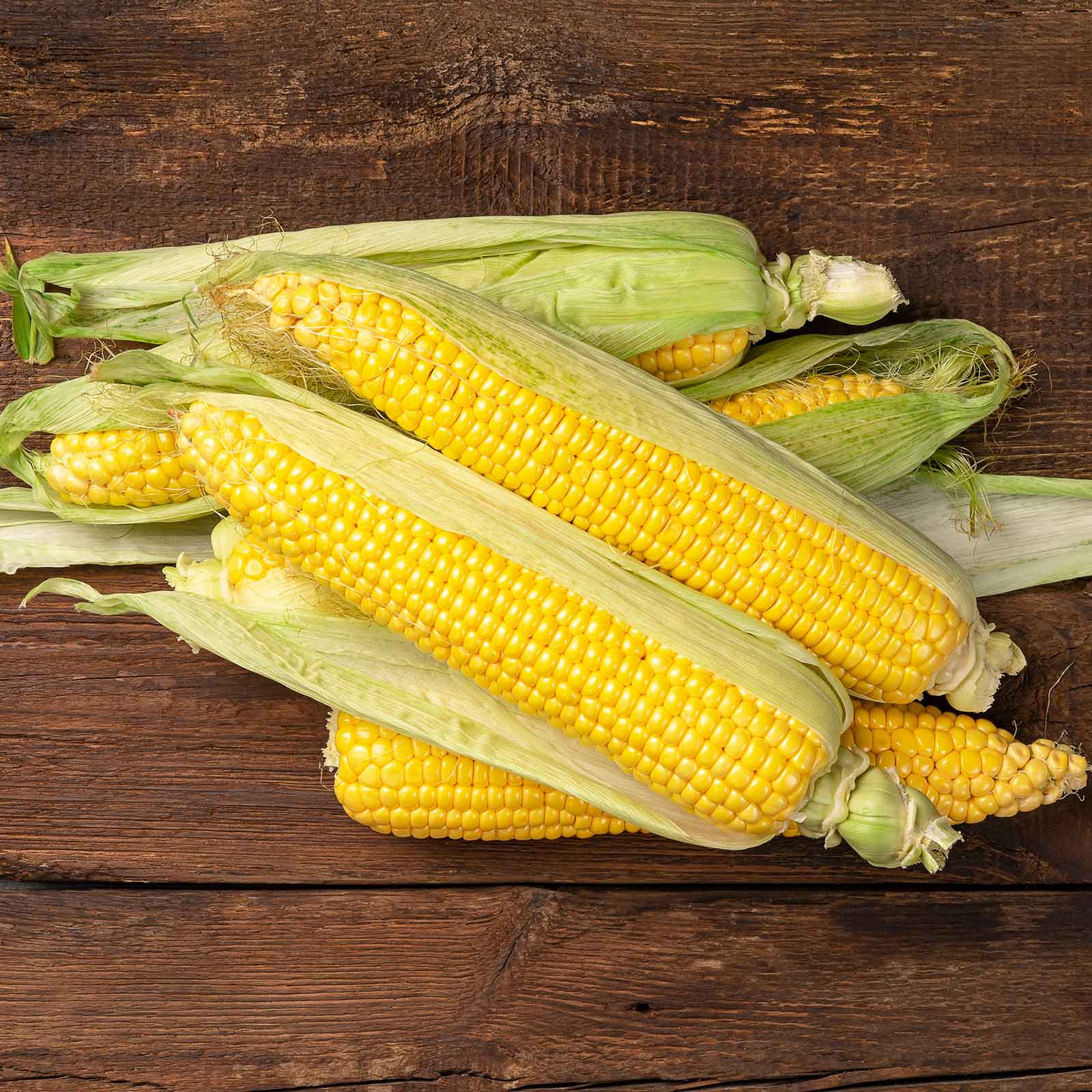 Close-up of a Jubilee yellow corn with green husks, showcasing the kernels.