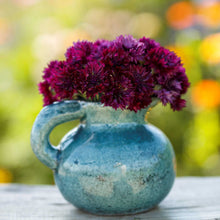 A small blue-green ceramic pitcher vase filled with cornflower almost black, set on a wooden surface with a blurred garden background.