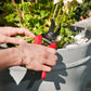 Person using red-handled bypass pruners to trim a plant in a pot
